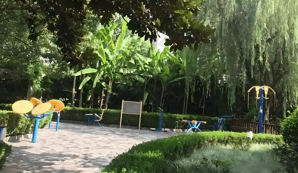 外省户口迁入深圳需要什么条件_不会唱歌却开演唱会,58岁的郑伊健消费情怀? 多条直达公交线路路等嘉定